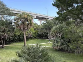Palm Harbor #15 - Image 5