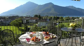 B&B Lori - Image 3