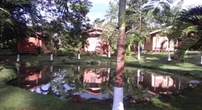 Rincon Verde - Image 4