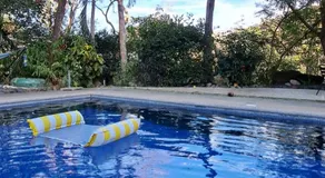 Casa Avi Fauna Nature, Plage 5m, LIR 40m - Image 5