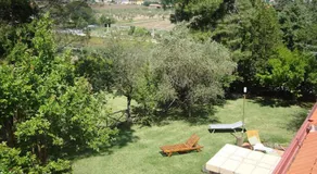 La Favola Verde - Image 5