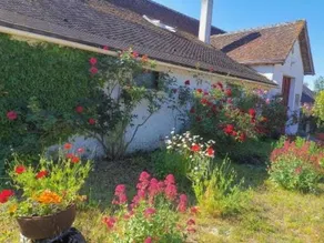 Les sureaux du cher - Image 5