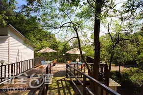 Jingshan Landscape - Image 3