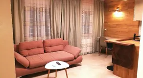 RIVER SIDE near FRANKFURT-AIR CONDITION-PRIVATE PARKING - Image 2
