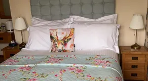 The Snug @ Corry Cottage - Image 2