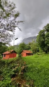 Jungle farmstay - Image 3