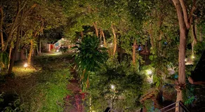 PawPaw Resort - Image 3