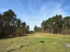 Holiday Home Bergen near Beach & Dunes - Image 3