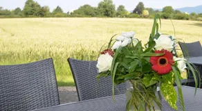 Landhotel Sulzbacher Hof - Image 5