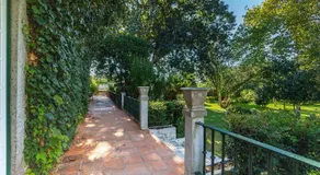 Quinta da Torre - Image 3
