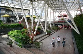 Lunaria NEST - Saigon Corner, Tan Dinh - Image 5