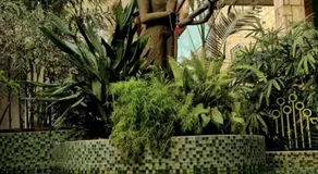 Villa La Drianké - Image 4