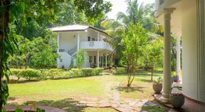 The Jungle Pearl Hotel - Image 3