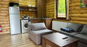 Eco House Borjomi - Image 5