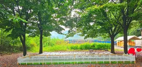 Hongcheon Bulmeongmeong Glamping Camping Site - Image 3