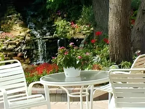 Black Forest Bed & Breakfast - Image 5