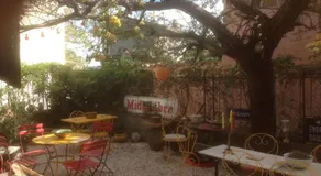 Sous l'abricotier - Image 4