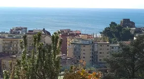 Le ginestre - Image 3