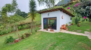 Naturaleza en armonia - Image 4