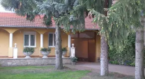 Galéria29 Home - Image 4