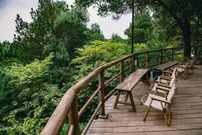 U Lesa Retreat - Nhà Bên Rừng - Image 5
