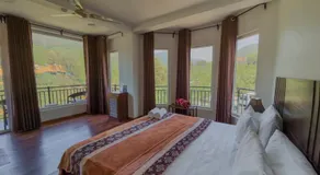 Dream Stay Green - Image 3