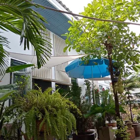 Daddy's home Huahin - Image 5