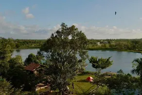 The Forester - Tâm An Lakeview - Image 2