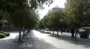 Temporary Alicante TM - Image 5