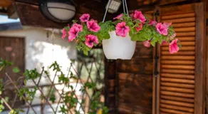 Country House La Terrazza Vista Mare - Suite Lentisco - Image 3