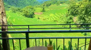 Puluong Aroma - Image 2