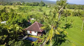 Lafyu Bali - Image 4