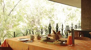 Moleiro da Costa Má - Image 2