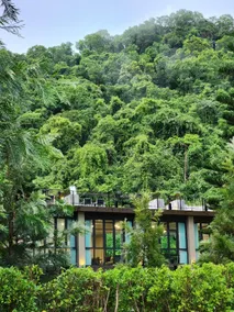 A2 at Forest Khaoyai - Image 4