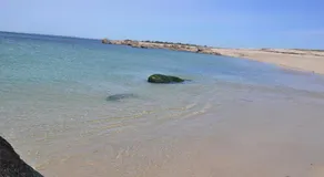 Chez Tib - Image 5