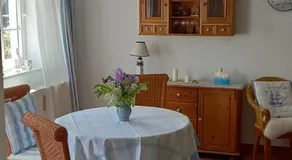 Möwe - Image 4