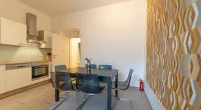Spacious Apartment mitten in Wien - Image 5