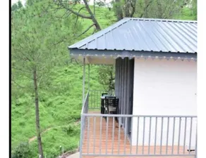 Hotel O Erica Hills Resort, Kasauli - Image 4
