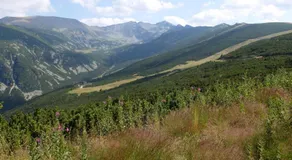 Borovets Apartments, Iglika 2 - Image 3