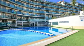 Homeincalpe Borumbot - Image 3
