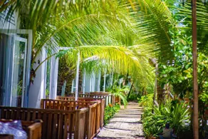 Hoang Phuc resort - Image 5