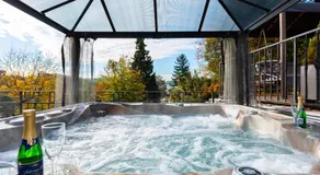 Wellness & SPA boutique Hotel pod lipkami Prague - Image 4