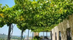 Quinta da Lua Nova - Image 3