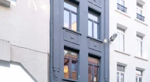 SHWAY - The Blue Parrot - Image 3