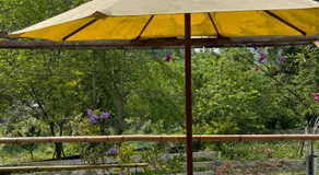 Forest whisper Retreat - Image 4