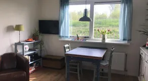 Rosa's zonnige huisje bij duinen bos en strand - Image 3