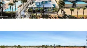 The Nest Egg - Image 5