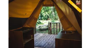 Woody Park - Image 5