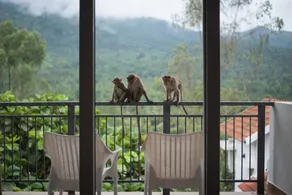 Dazzle Villa Resort - Image 4