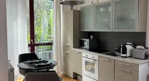 MODERN LUXURY FOREST APARTMENT - 30 mins to center - Image 3